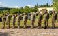 Náčelník rumunskej armády na oficiálnej návšteve Slovenska
