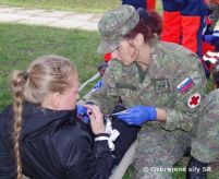 Na Leti cviili vojensk zdravotnci a civiln zchranri